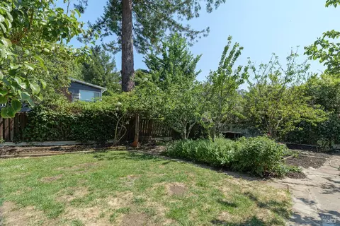 22 Central Dr, Mill Valley, CA 94941 photo 19