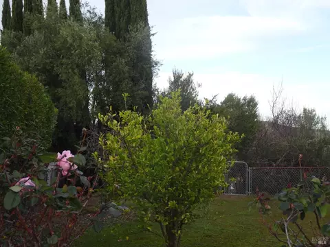 68 Goya Dr, Fairfield, CA 94534 photo 70