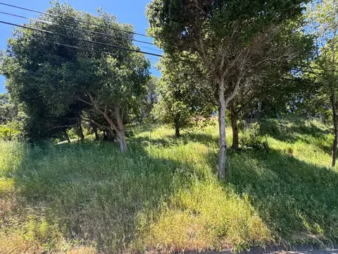 0 Meadowsweet Dr, Corte Madera, CA 94925 photo 41