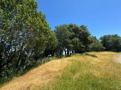 0 Meadowsweet Dr, Corte Madera, CA 94925 photo 29