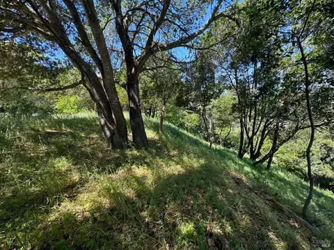 0 Meadowsweet Dr, Corte Madera, CA 94925 photo 16