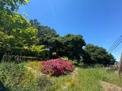 0 Meadowsweet Dr, Corte Madera, CA 94925 photo 38