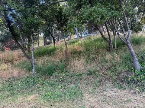 0 Meadowsweet Dr, Corte Madera, CA 94925 photo 7