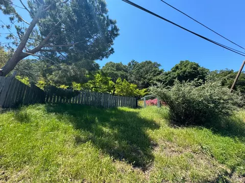0 Meadowsweet Dr, Corte Madera, CA 94925 photo 36
