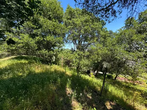 0 Meadowsweet Dr, Corte Madera, CA 94925 photo 28