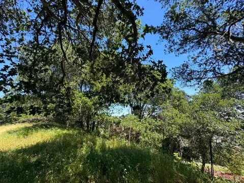 0 Meadowsweet Dr, Corte Madera, CA 94925 photo 31