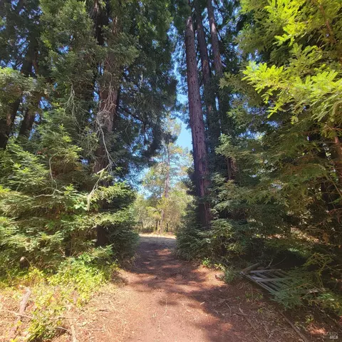 10980 Peaks Pike Rd, Sebastopol, CA 95472
