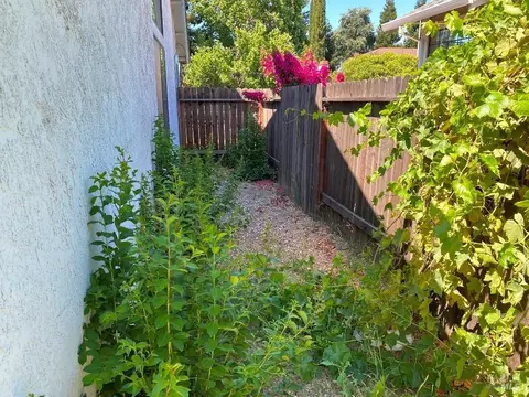 Exterior - 642 Hawk Dr, Vacaville, CA 95687 photo 10 of 28