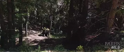 1770 Ponderosa Rd, Willits, CA 95490