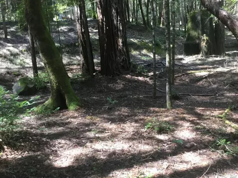 24960 Clover Rd, Willits, CA 95490 photo 11