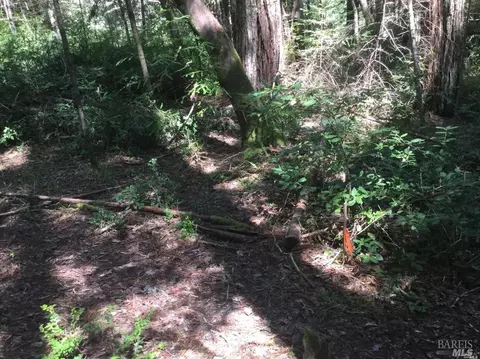 24960 Clover Rd, Willits, CA 95490 photo 9