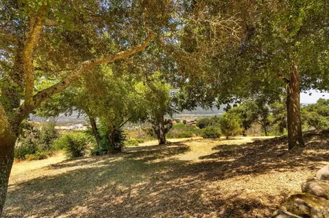 Exterior - 504 White Cottage Rd S, Angwin, CA 94508 photo 12 of 20