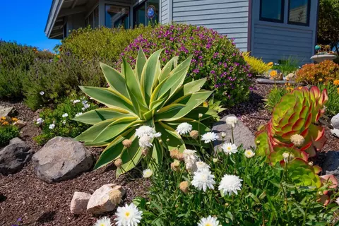 933 Gull Dr, Bodega Bay, CA 94923 photo 41