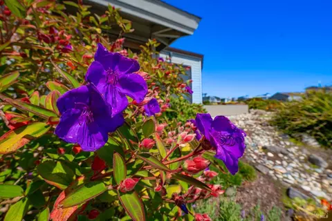933 Gull Dr, Bodega Bay, CA 94923 photo 44