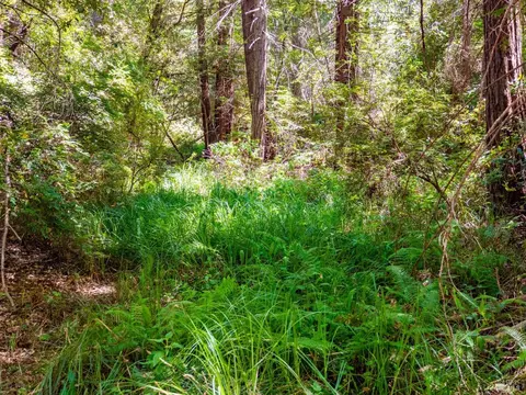 5014-5010 Cameron Rd, Elk, CA 95432 photo 10
