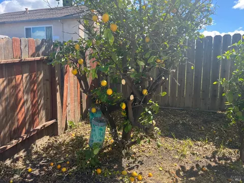 2008 Davis Dr, Fairfield, CA 94533 photo 12