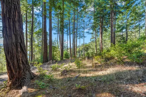 400 Holmes Ranch Rd, Philo, CA 95466 photo 8