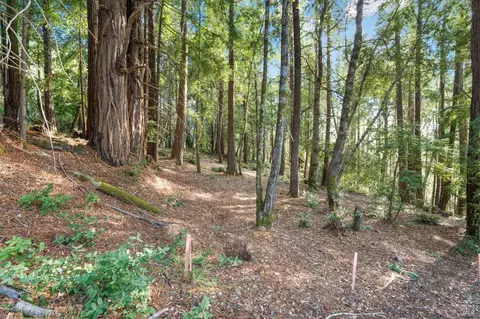 400 Holmes Ranch Rd, Philo, CA 95466 photo 6
