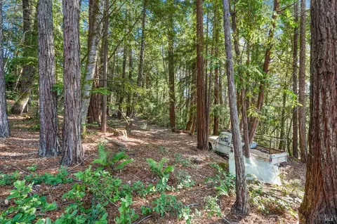 400 Holmes Ranch Rd, Philo, CA 95466 photo 14
