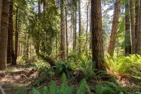 35238 Fly Cloud Rd, The Sea Ranch, CA 95497