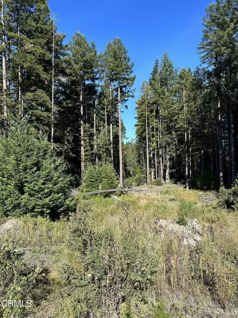 0 Cameron Rd, Elk, CA 95432