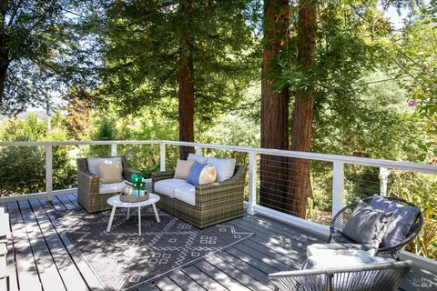 7 Wolfe Ave, San Rafael, CA 94901 photo 38