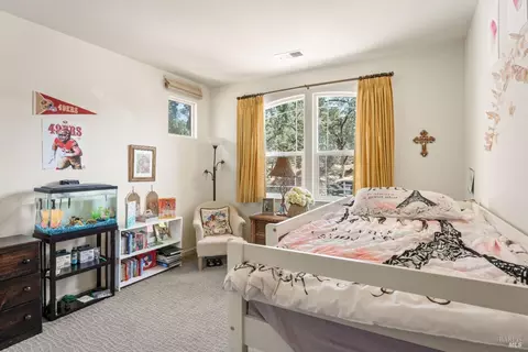 2529 Bartlett Ct, Ukiah, CA 95482 photo 19