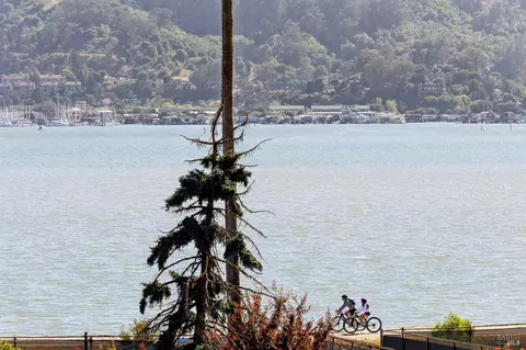 View/Area - 696 Hilary Dr, Tiburon, CA 94920 photo 3 of 6