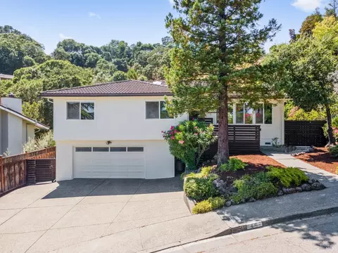 46 Elda Dr, San Rafael, CA 94903 photo 45