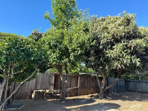 215 Willow St, Vallejo, CA 94589 photo 22