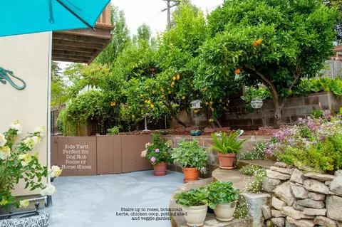 1429 Magazine St, Vallejo, CA 94591 photo 20