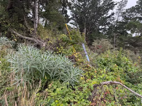 245 Alder Rd, Bolinas, CA 94924