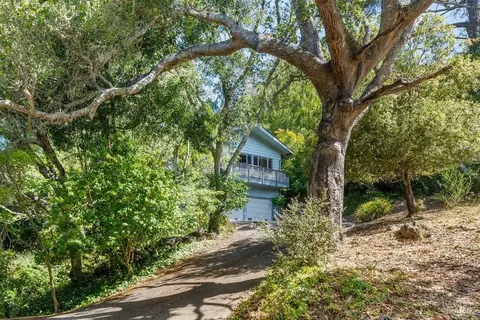 508 Midvale Way, Mill Valley, CA 94941 photo 28