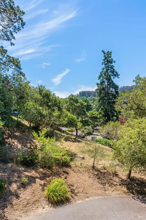 508 Midvale Way, Mill Valley, CA 94941 photo 30