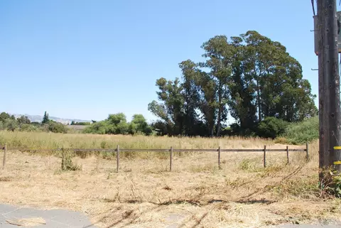 4140 Bodega Ave, Petaluma, CA 94952 photo 4