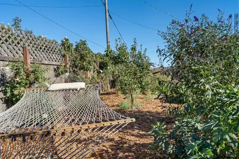 21707 Bonness Rd, Sonoma, CA 95476 photo 21