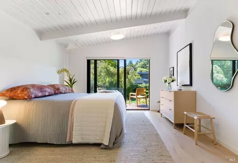 8 Birch St, Mill Valley, CA 94941 photo 14