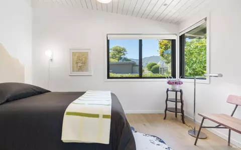 8 Birch St, Mill Valley, CA 94941 photo 21