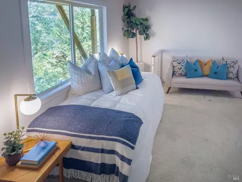 154 Ridgeway Ave, Fairfax, CA 94930 photo 23