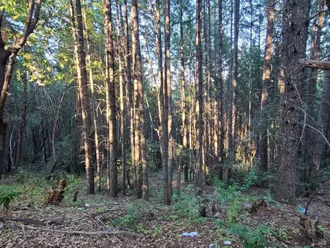 1 Mina Rd, Covelo, CA 95428 photo 7