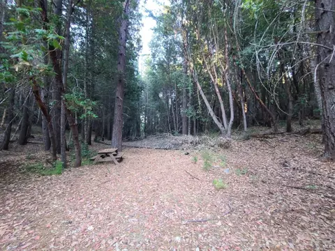 1 Mina Rd, Covelo, CA 95428 photo 24