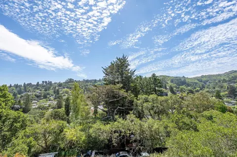 116 Montford Ave, Mill Valley, CA 94941 photo 19