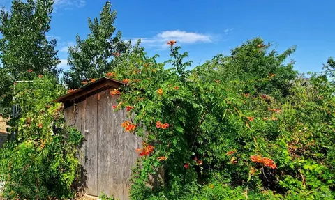 5144 Maple Rd, Vacaville, CA 95687 photo 22