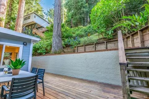66 Molino Ave, Mill Valley, CA 94941 photo 43