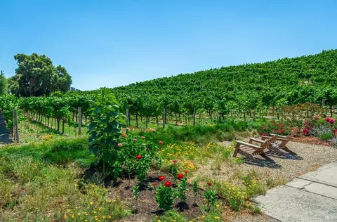 1111 Bayview Ave, Napa, CA 94559 photo 37