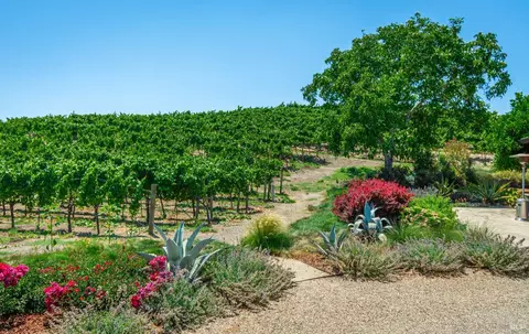 1111 Bayview Ave, Napa, CA 94559 photo 38