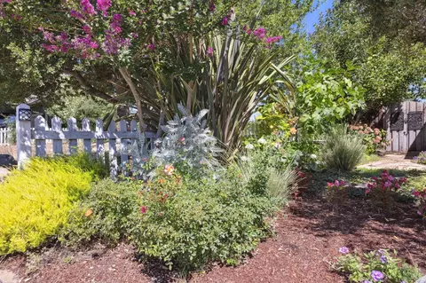 164 Cooper St, Sonoma, CA 95476 photo 56