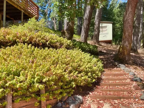 26720 Hawk Rd, Willits, CA 95490 photo 24