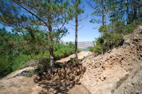 0 W Robert Dr, Inverness, CA 94937 photo 3
