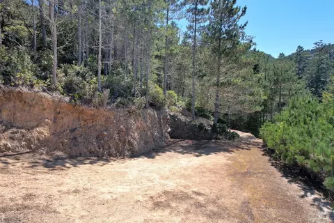 0 W Robert Dr, Inverness, CA 94937 photo 6